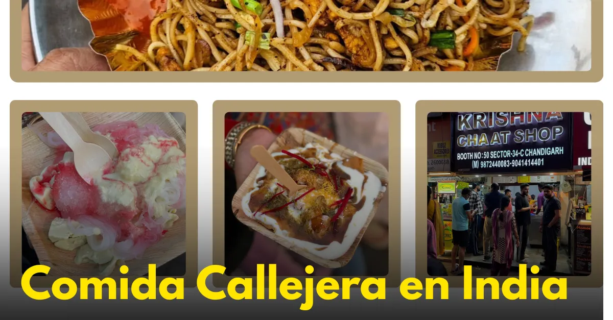 Comida Callejera en India: Una Guía para Aventureros Culinarios (¡Sabor y Seguridad!)