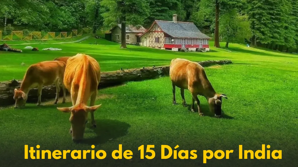 Itinerario de 15 Días por India: Una Aventura Épica del Norte al Sur (Guía Completa)
