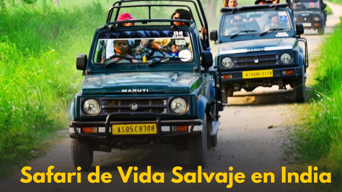 Safari de Vida Salvaje en India: Descubre Tigres, Elefantes y la Fascinante Biodiversidad
