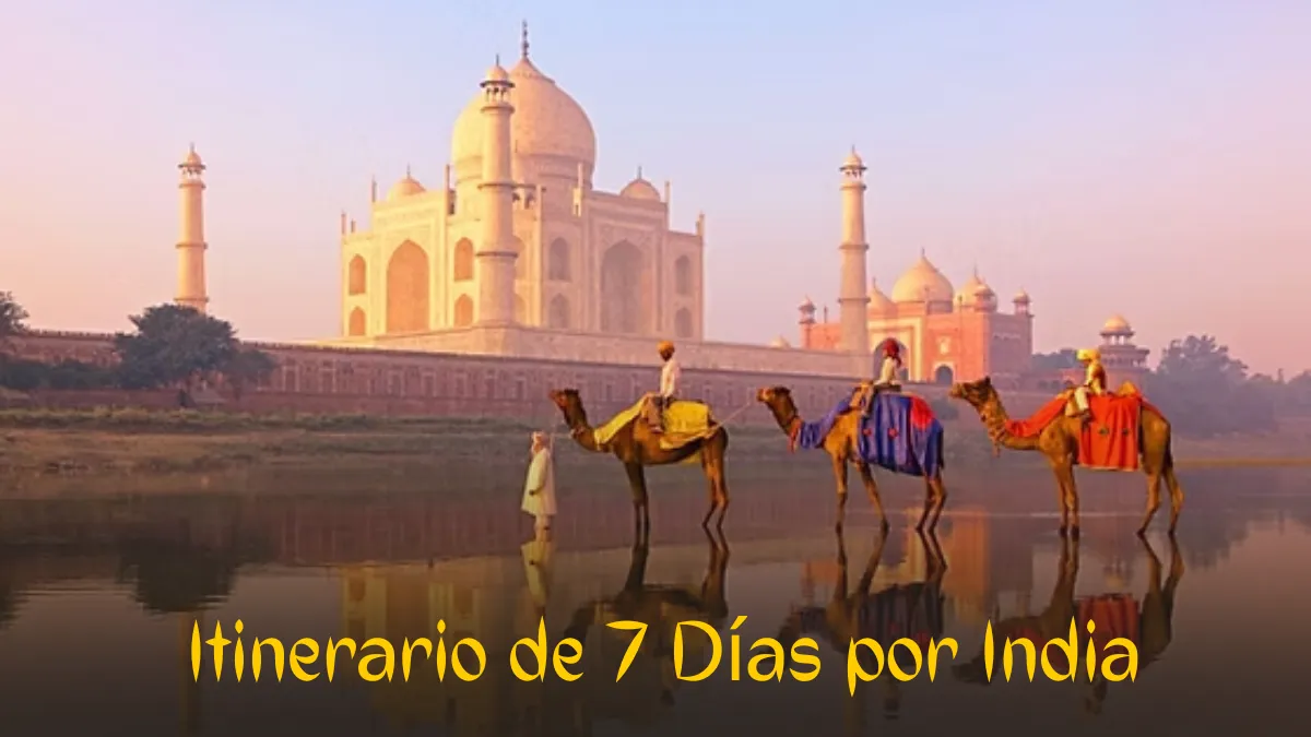 Itinerario de 7 Días por India: El Triángulo de Oro Esencial para Tu Primer Viaje